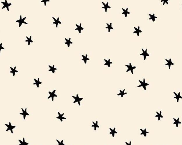 Der Rabe im Schlamm Patchworkstoff Quiltrückseite Überbreite Quiltbacking in Deutschland kaufen Ruby Star Society Starry Natural 108