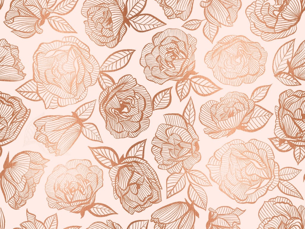 Der Rabe im Schlamm Meterware Patchworkstoff kaufen Ruby Star Society First Light Floral Lace Ballet