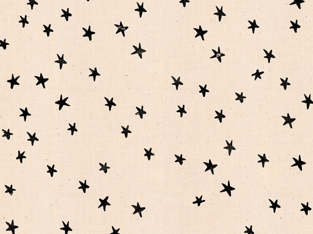 Der Rabe im Schlamm Meterware Patchworkstoff kaufen Ruby Star Society Starry Alexia Abegg Natural Black