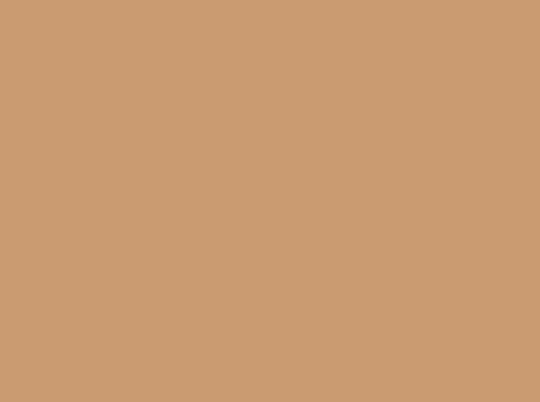 Der Rabe im Schlamm Meterware Patchworkstoff kaufen Art Gallery Fabrics Pure Solids Toasty Walnut
